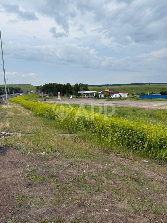 АЗС с кафе на первой линии трассы М7 фото