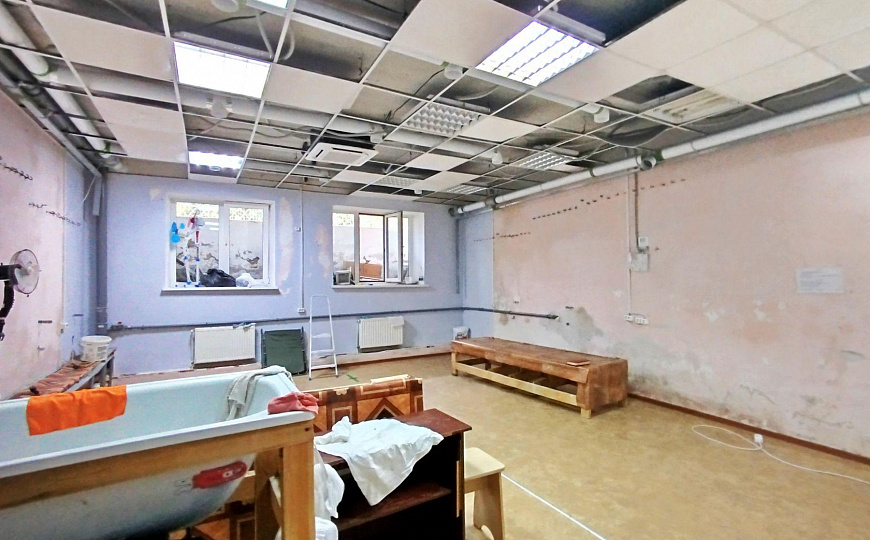  Помещение свободного назначения, 45,6 м² фото