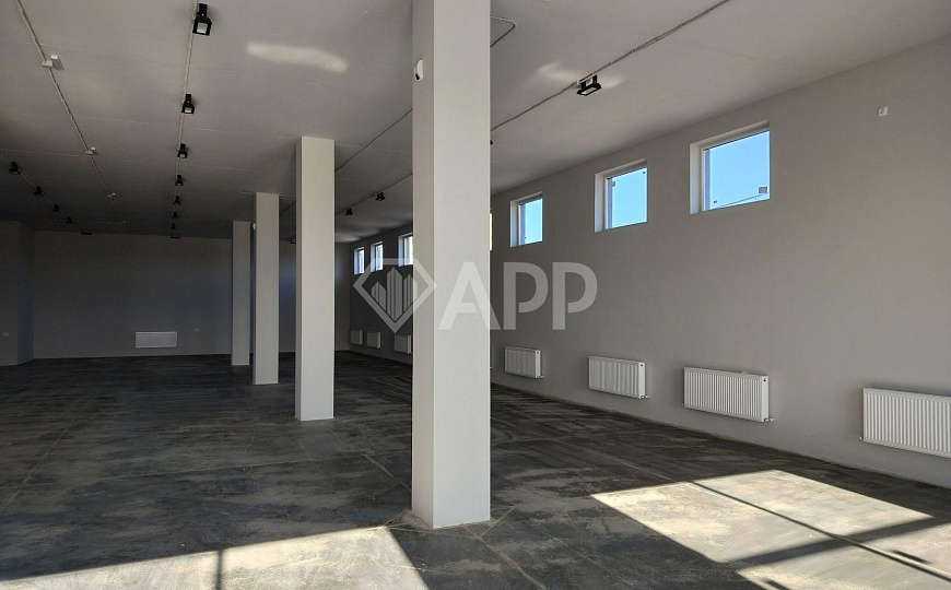 Сдам помещение свободного назначения, 350 м² фото