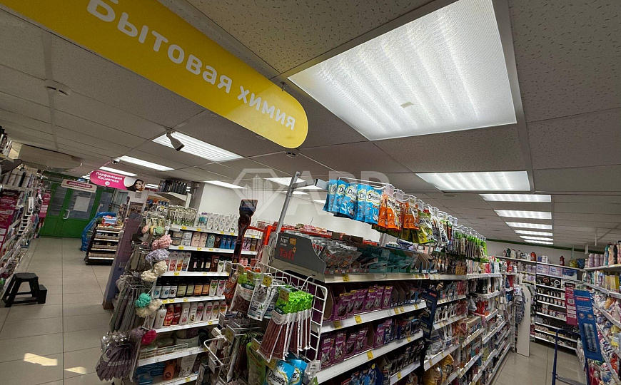 ТЦ/Фасад/Магнит/ДНС/Помещение свободного назначения 170м2 фото