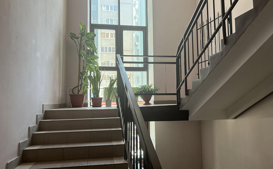 220,5 м² в центре города под офис, салон красоты, спортивную студию, медцентр   фото