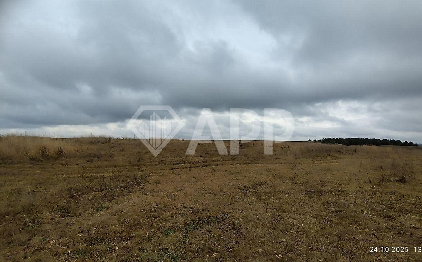 Земля для вашего бизнеса! фото