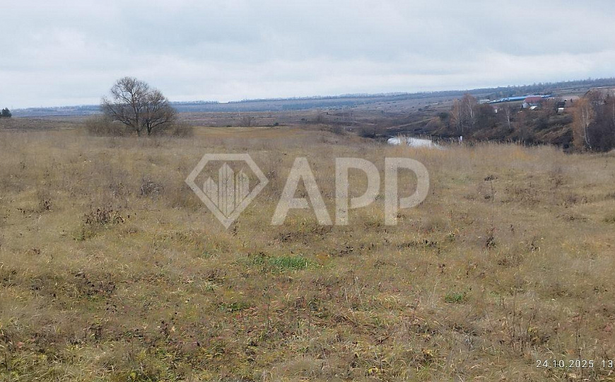 Земля для вашего бизнеса! фото