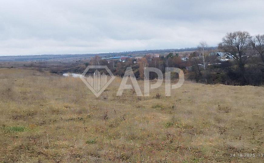 Земля для вашего бизнеса! фото