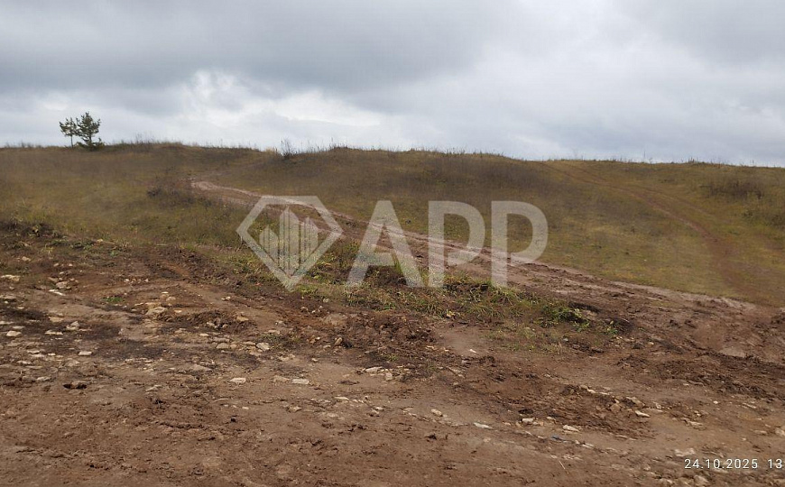 Земля для вашего бизнеса! фото