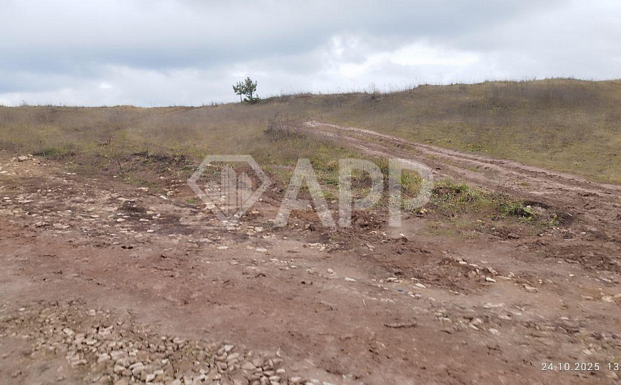 Земля для вашего бизнеса! фото