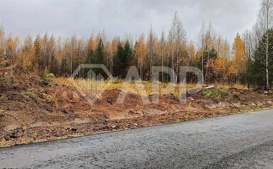 Земля промназначения фото