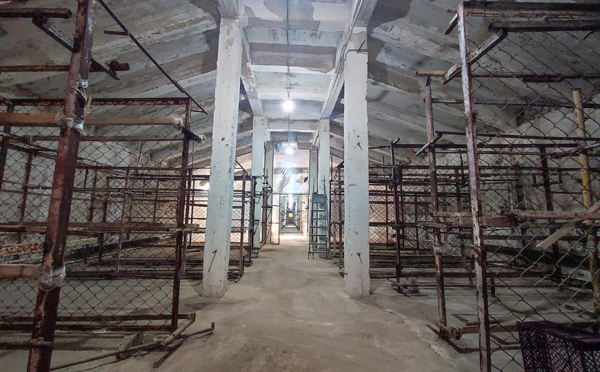 Производственное помещение, 772 м² фото