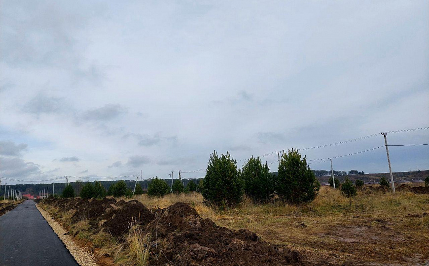 Участок 10 соток (ИЖС) фото