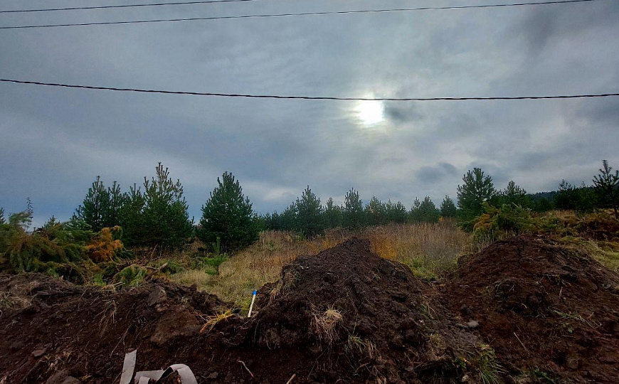 Участок 10 соток (ИЖС) фото