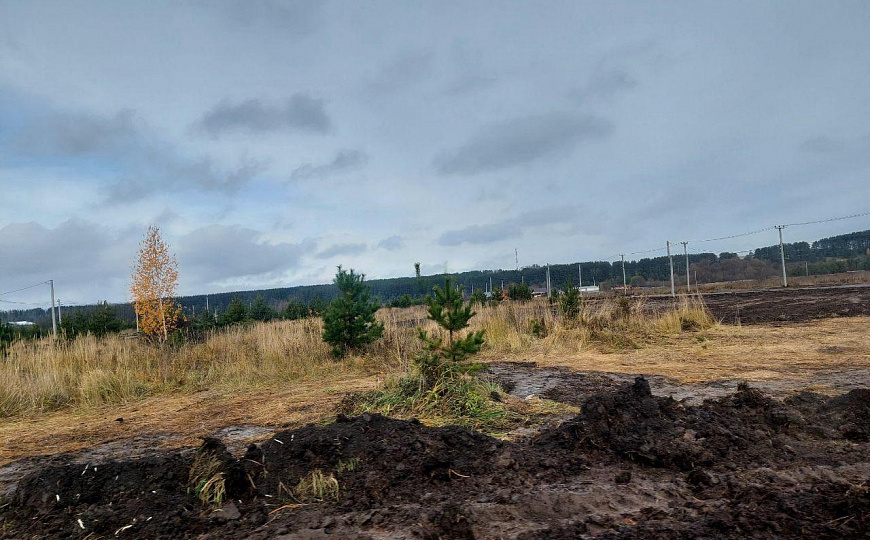 Участок 10 соток (ИЖС) фото