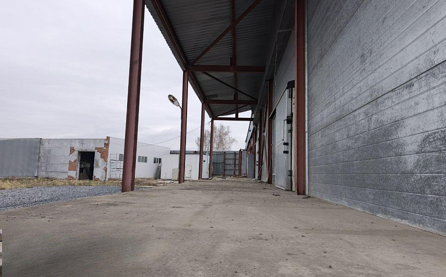 Холодный склад 950 м2 с пандусом фото