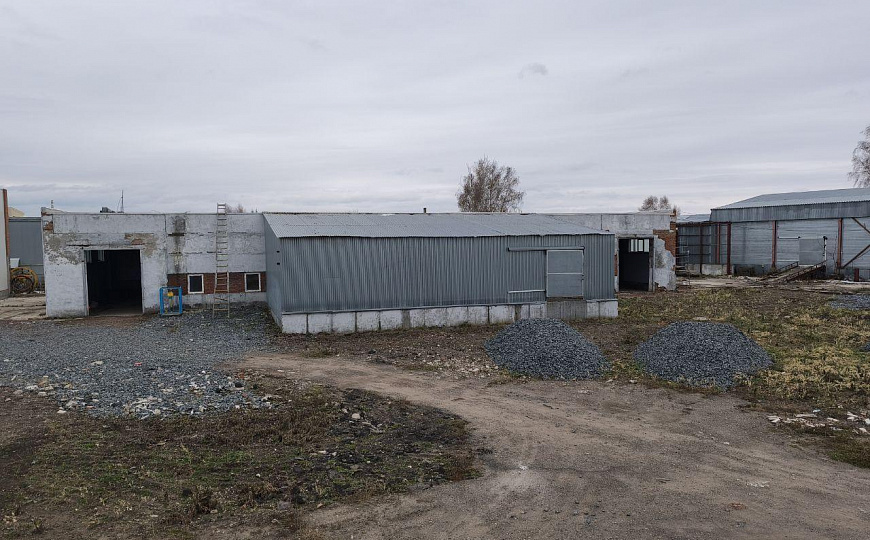 770 м2 свободного назначения фото