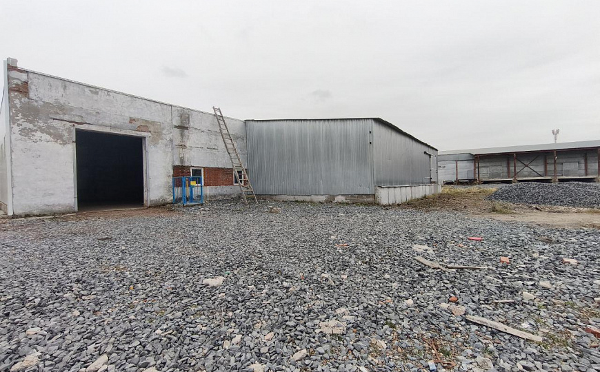 770 м2 свободного назначения фото