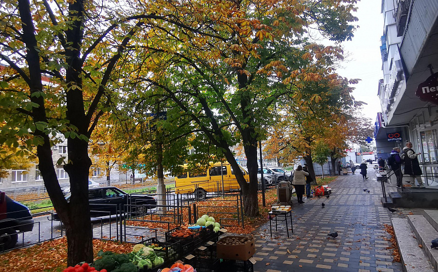 помещение с витринами, аптека, магазин, салон, 90 м² фото