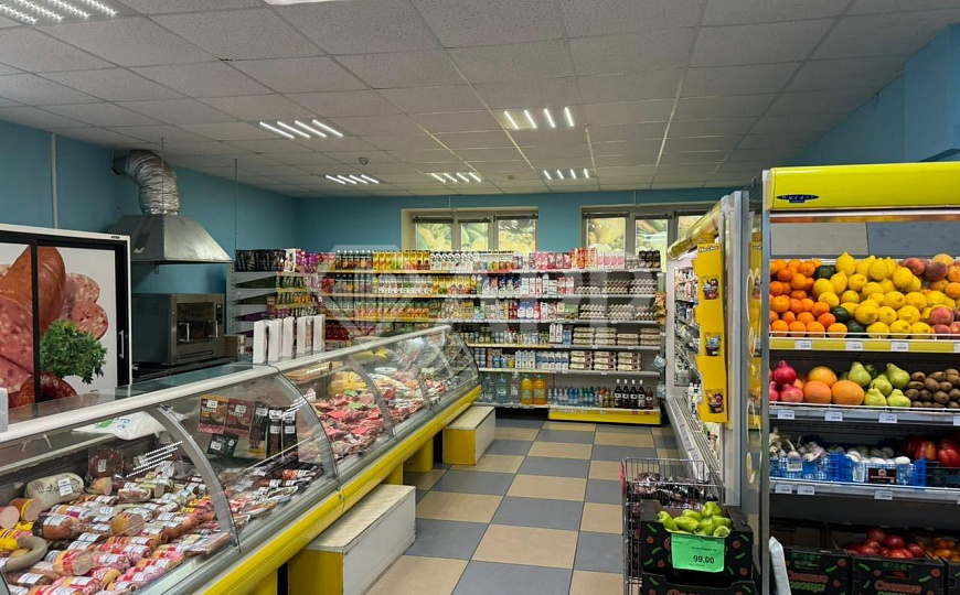 Сдам помещение свободного назначения, 270 м² фото