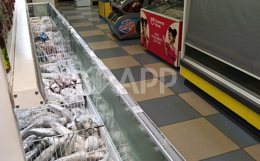 Сдам помещение свободного назначения, 270 м² фото