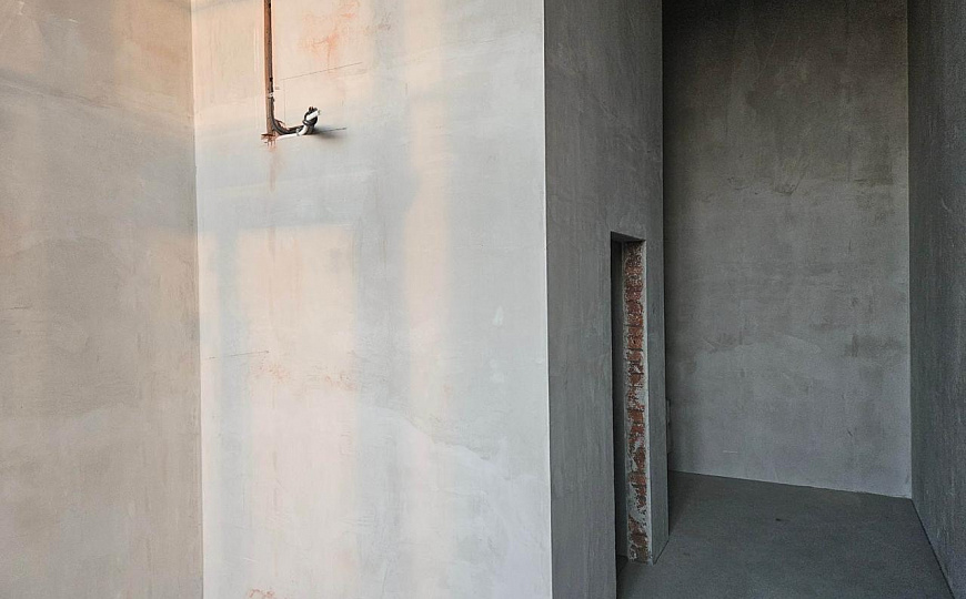 Аренда коммерческого помещения 99,6 м.кв в комплексе апартаментов "Пилигримм" фото