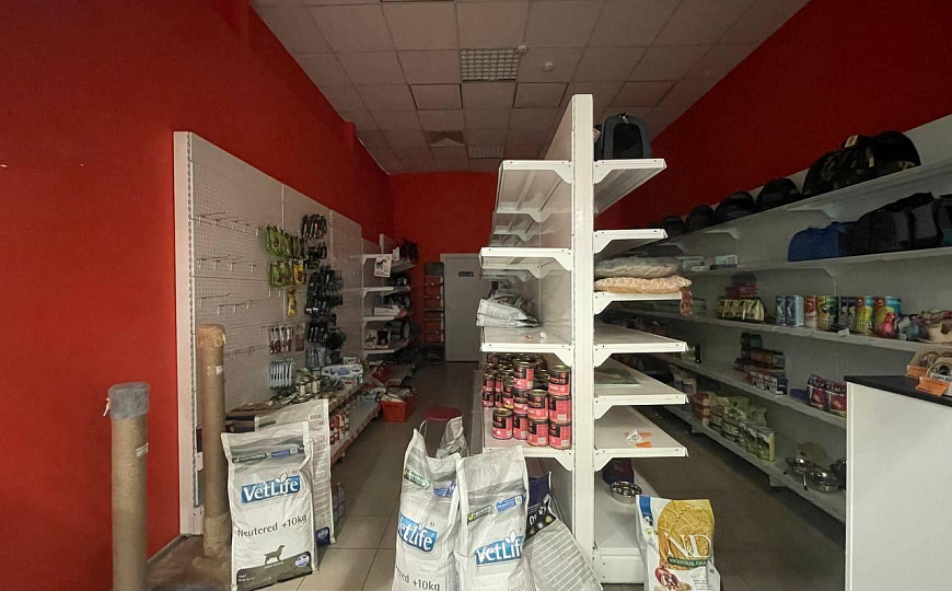 Помещение свободного назначения 45 м² фото