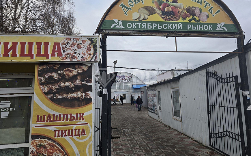 Сдам помещение свободного назначения, 250 м² фото