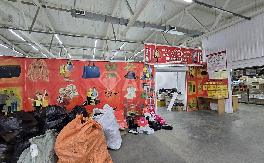 Сдам помещение свободного назначения, 250 м² фото