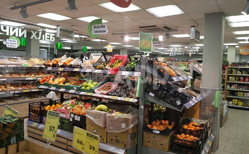 Продается магазин «Пятёрочка» в Мытищах 503,5 м2 фото