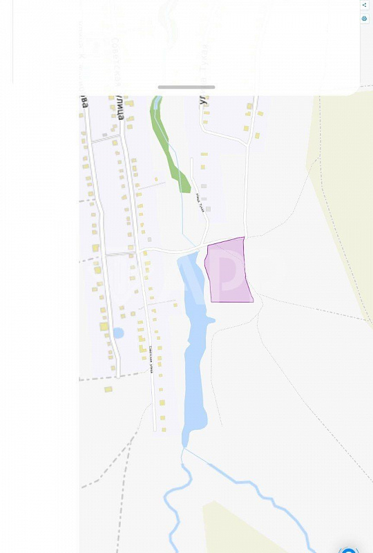 Участок около д. Конь фото