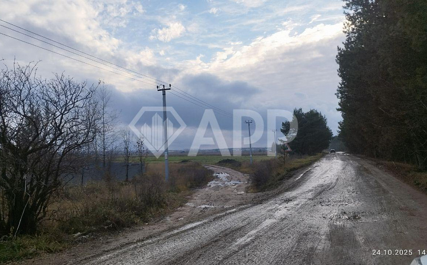 Участок около д. Конь фото