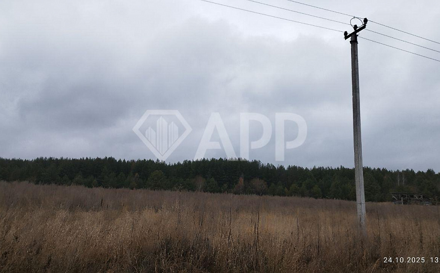 Участок около д. Конь фото