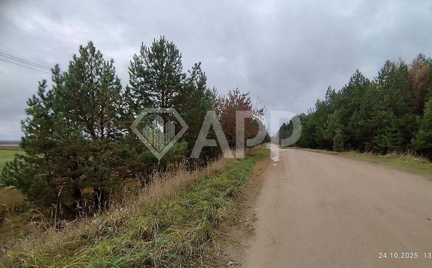 Участок около д. Конь фото