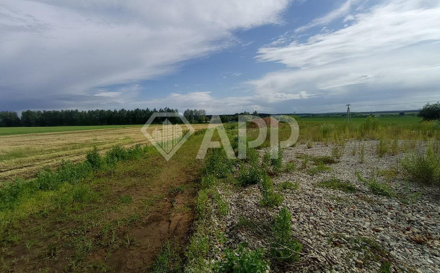 Старт продаж участков. ВРИ - промка. Выгодно! фото