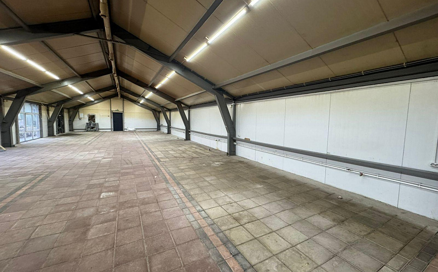 Сдам помещение свободного назначения, 250 м² фото