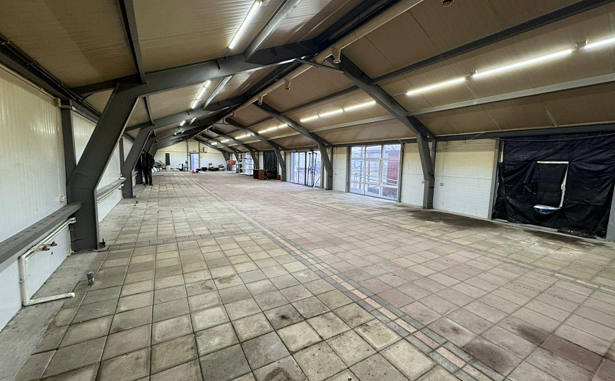 Сдам помещение свободного назначения, 250 м² фото