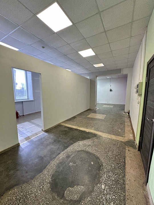 Сдается помещение свободного назначения 70,1 м² фото