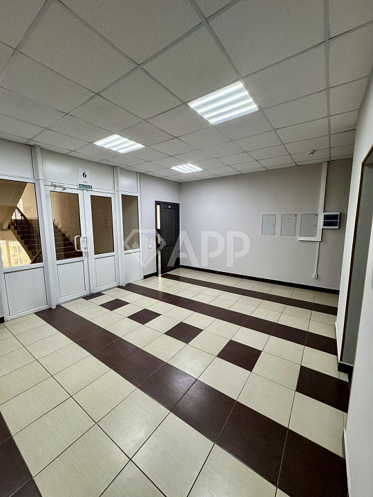 Сдам офисное помещение, от 20 м2 до 1000 м2 фото