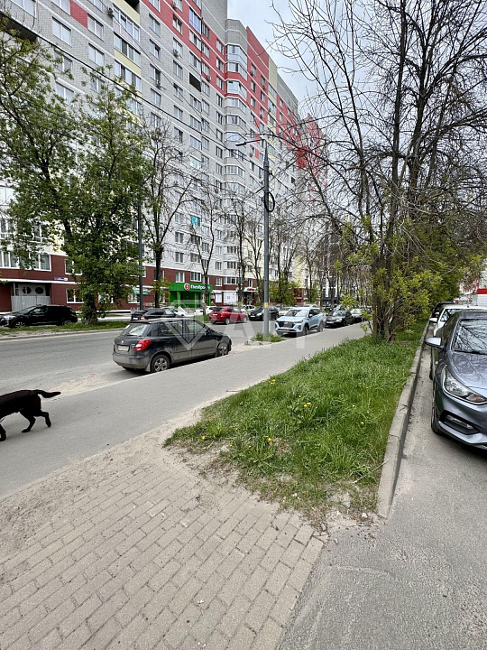 Сдам офисное помещение, от 20 м2 до 1000 м2 фото