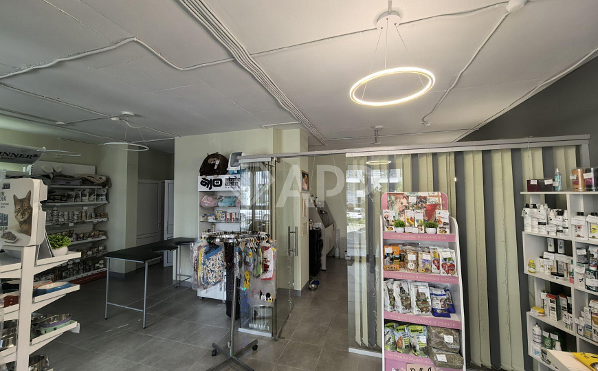 Продаю готовый арендный бизнес, 66,6 м² фото