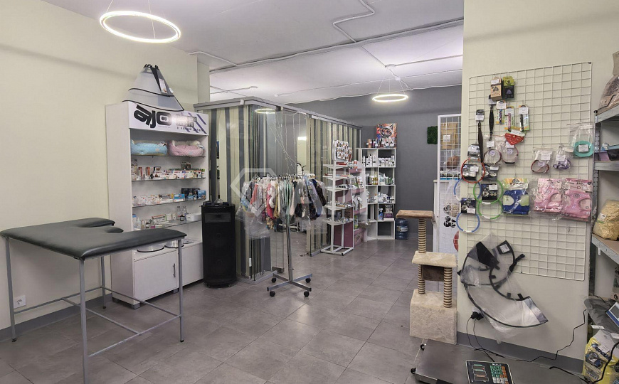 Продаю готовый арендный бизнес, 66,6 м² фото