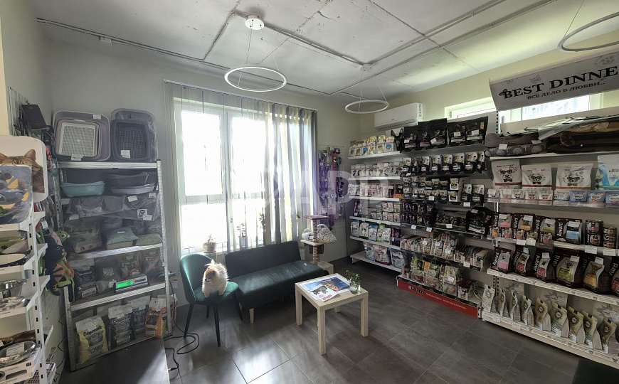 Продаю готовый арендный бизнес, 66,6 м² фото