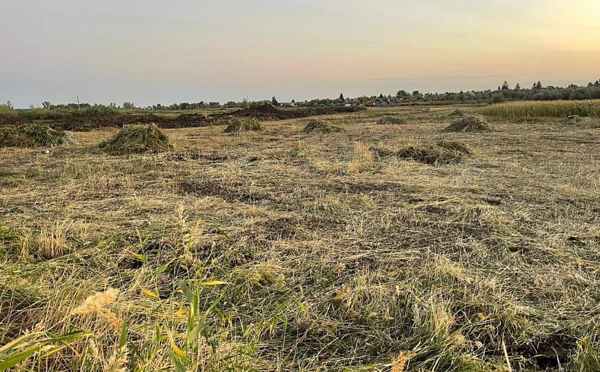 Три участка по 10 сот фото