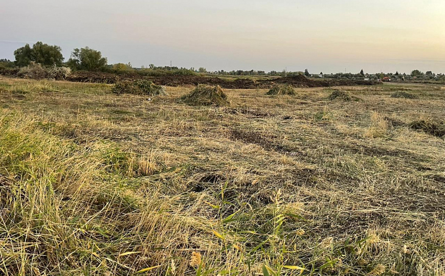 Три участка по 10 сот фото