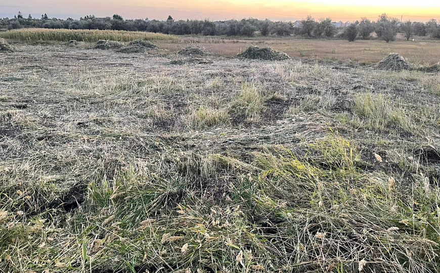 Три участка по 10 сот фото