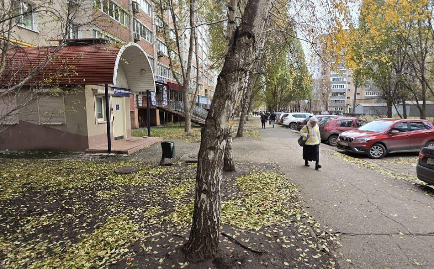 Сдам помещение свободного назначения на трафике фото