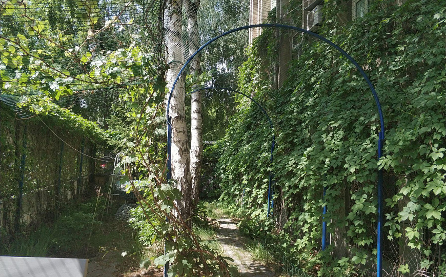 Сдам офисное помещение, 23 м² фото