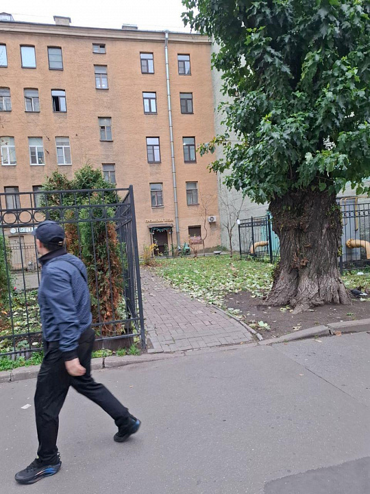 Сдам помещение свободного назначения, 80 м² фото