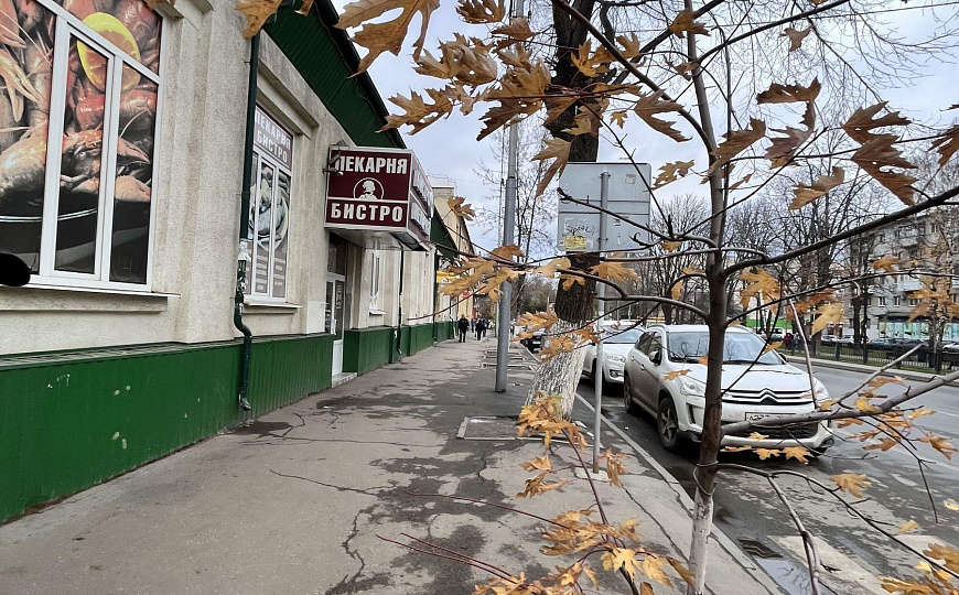 Сквер Рахова 750 м. фото