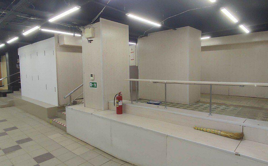 Сдам цоколь по низкой цене  фото