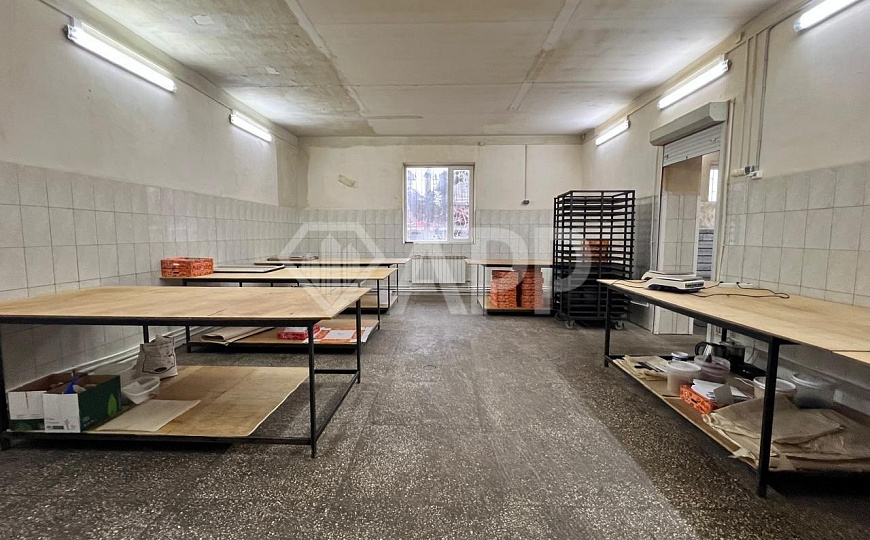 Сдам помещение свободного назначения, 400 м² фото