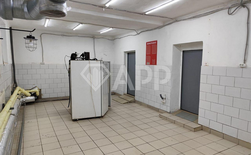 Помещение свободного назначения на Авангардной фото