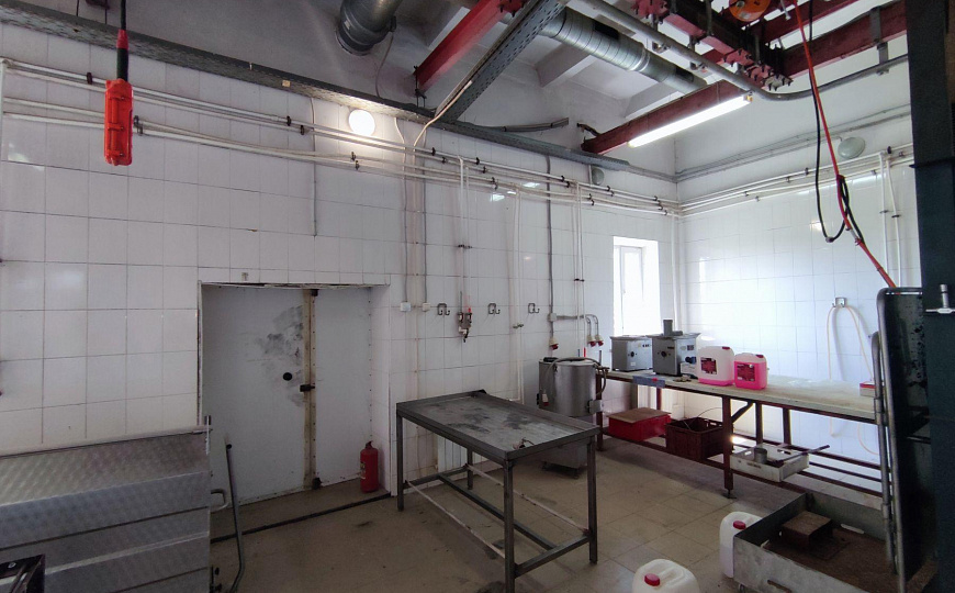 Производственное помещение, 1 500 м² фото